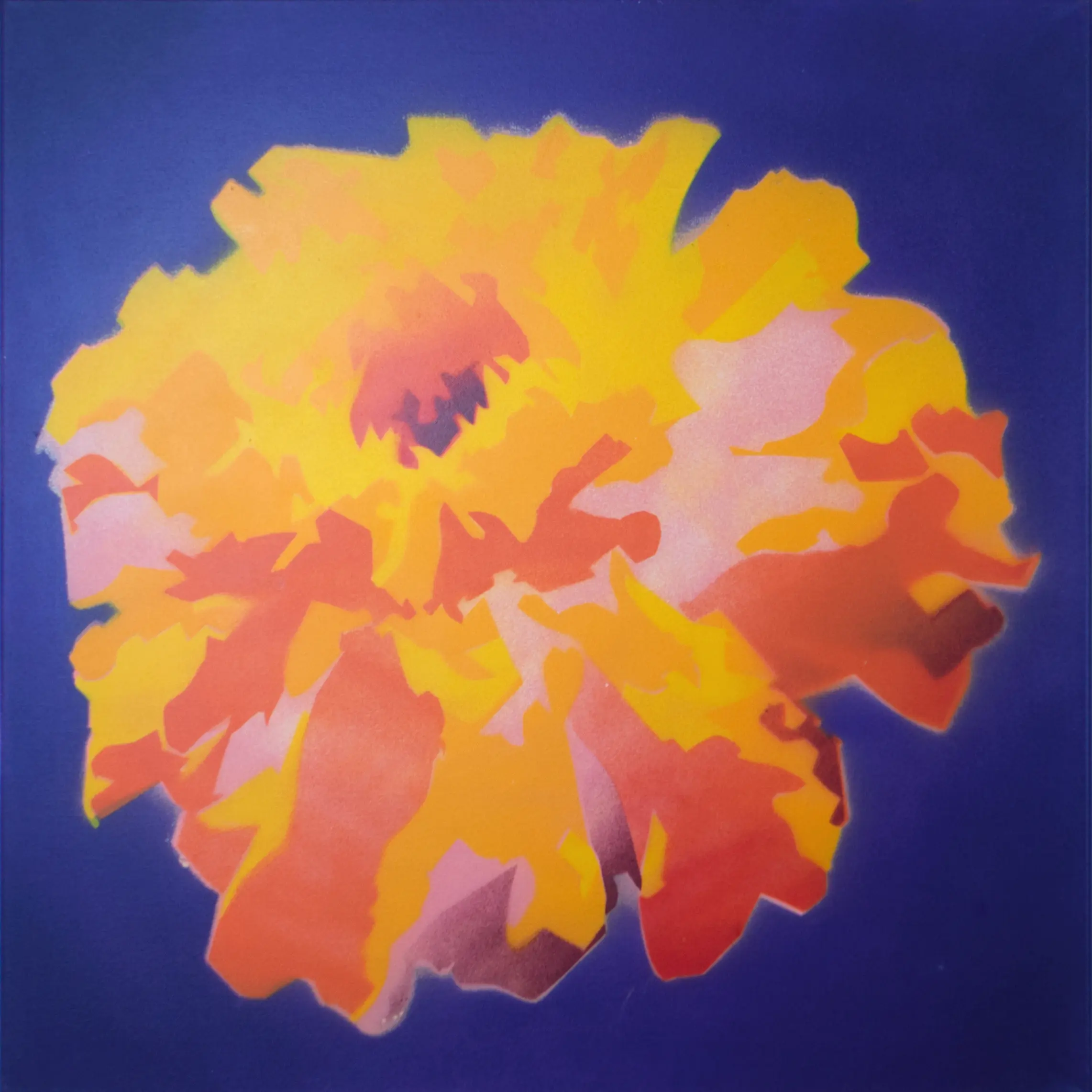 Tagetes patula die Totenblume, 2014, Sprühfarbe auf Leinwand, 75 x 75 cm von Tim Florian Mueller